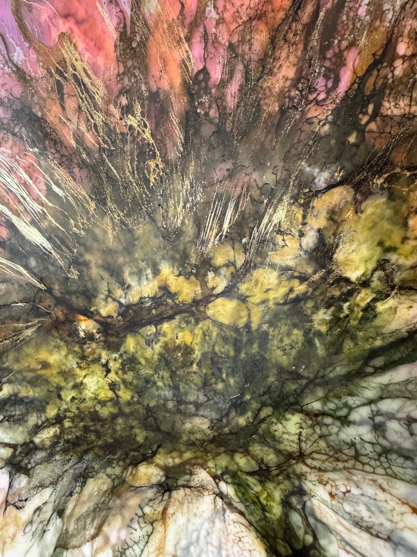 Solar Bloom