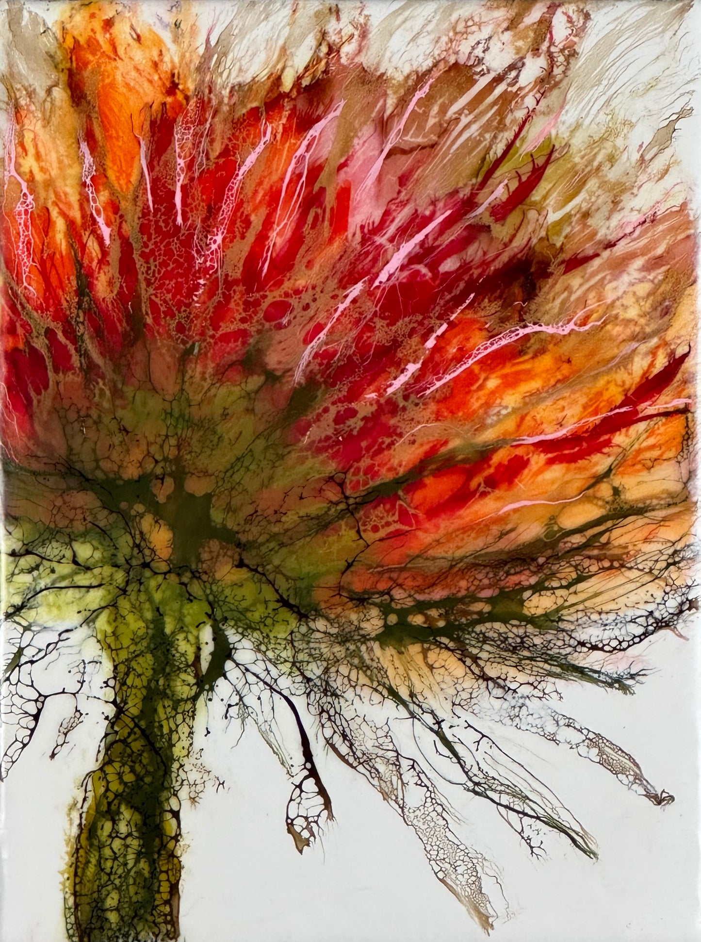 Wild Ember