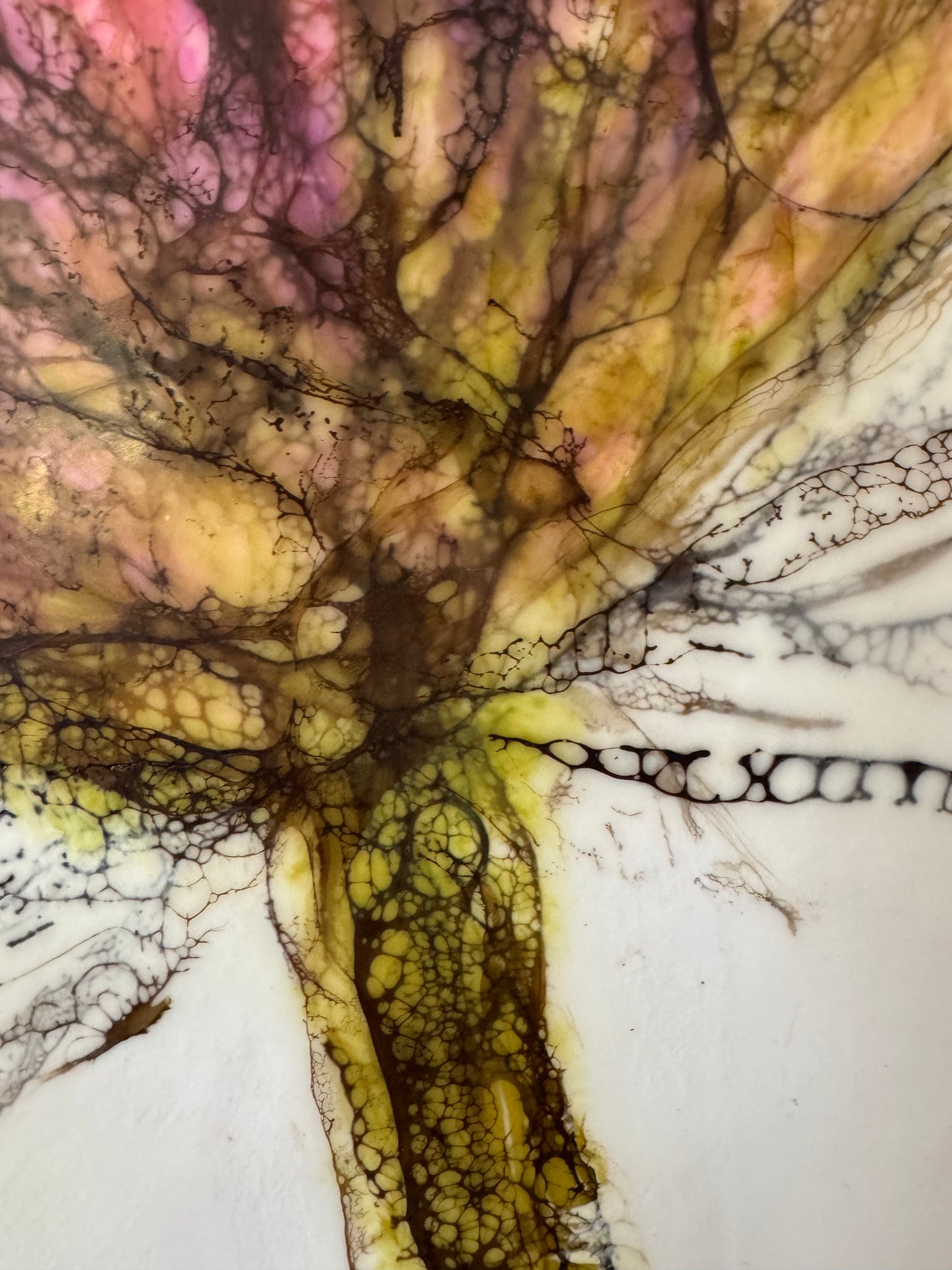 Becoming Peony