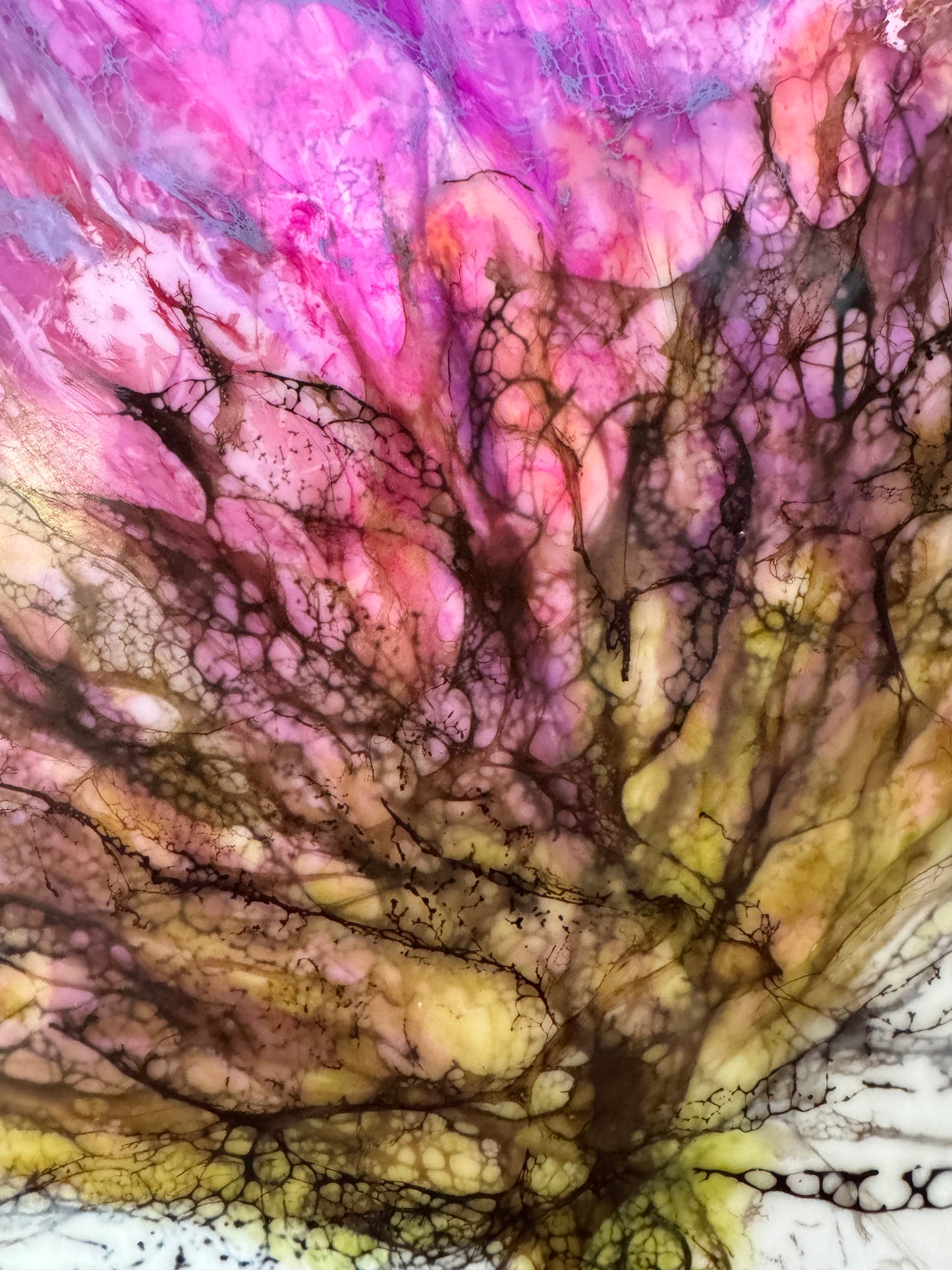 Becoming Peony