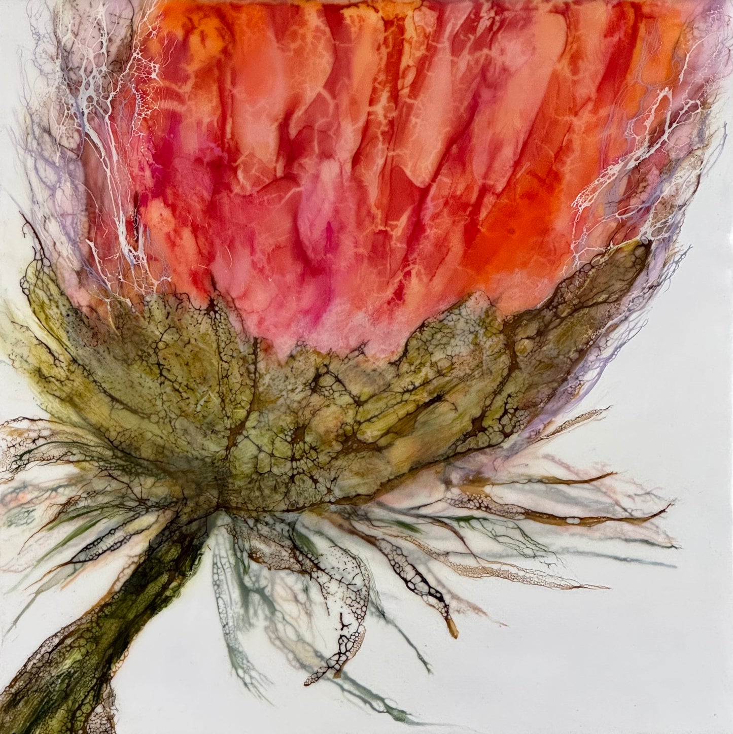 Spring Bloom