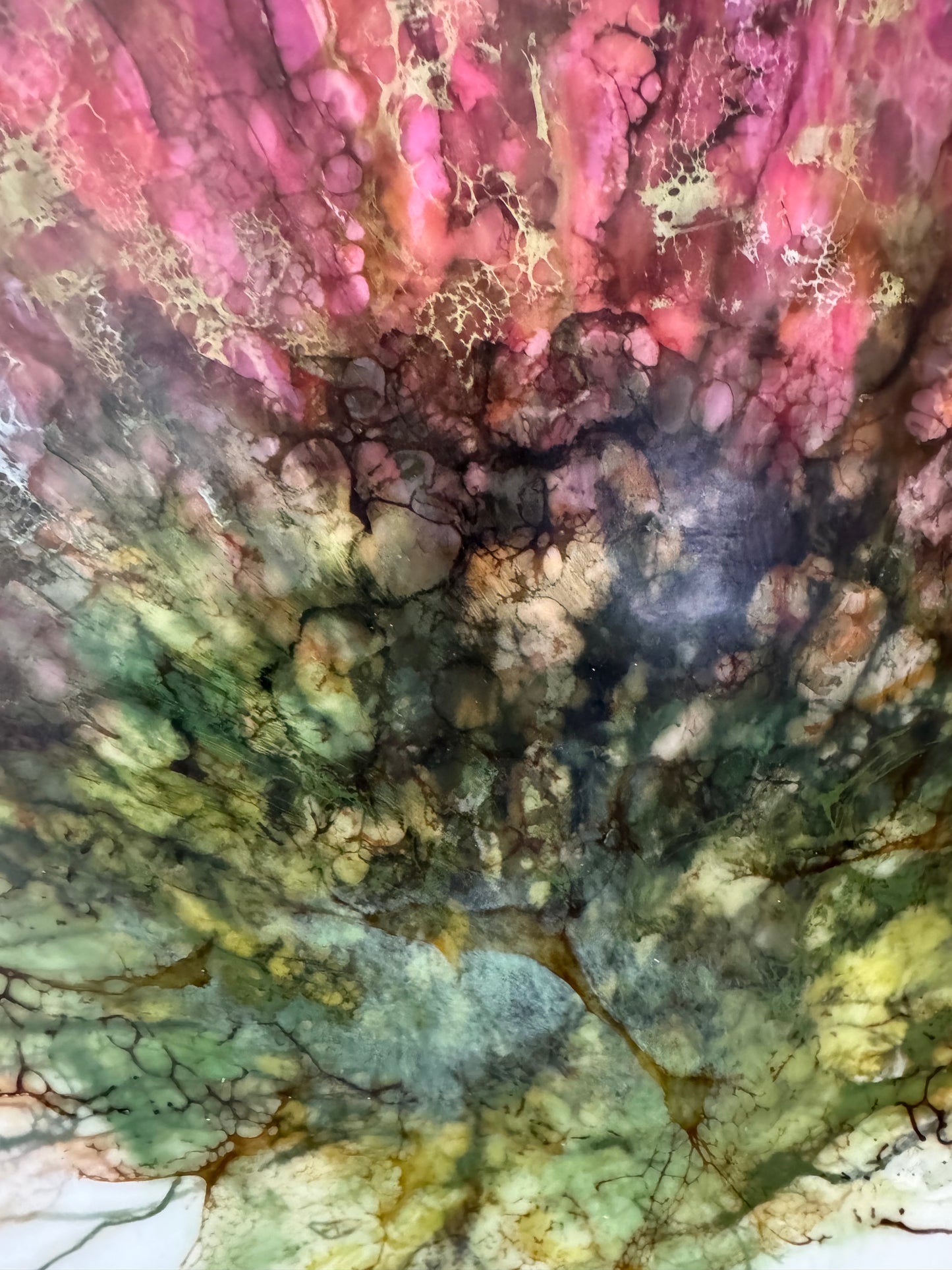 Echo's of Spring