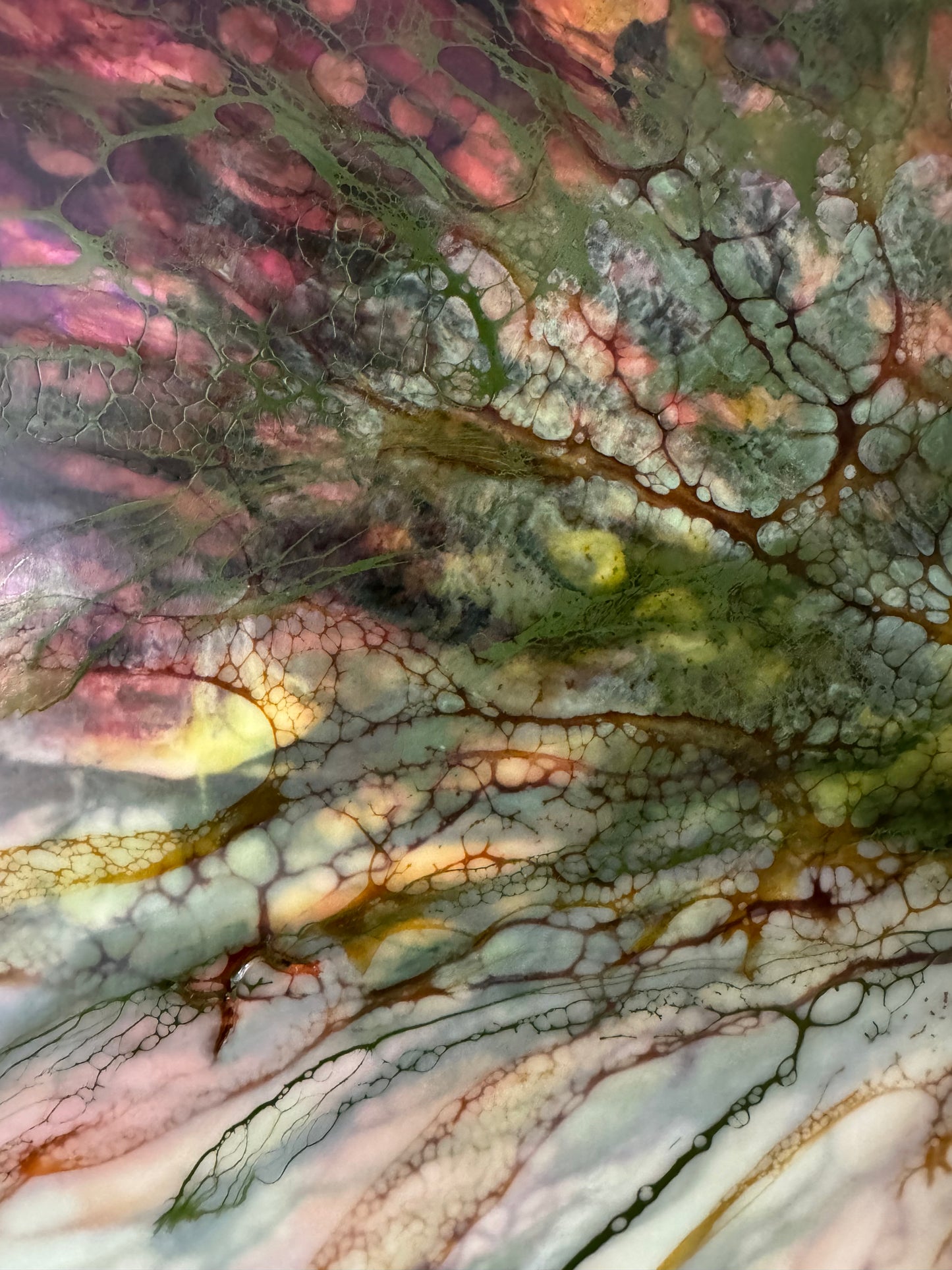Memory in Bloom