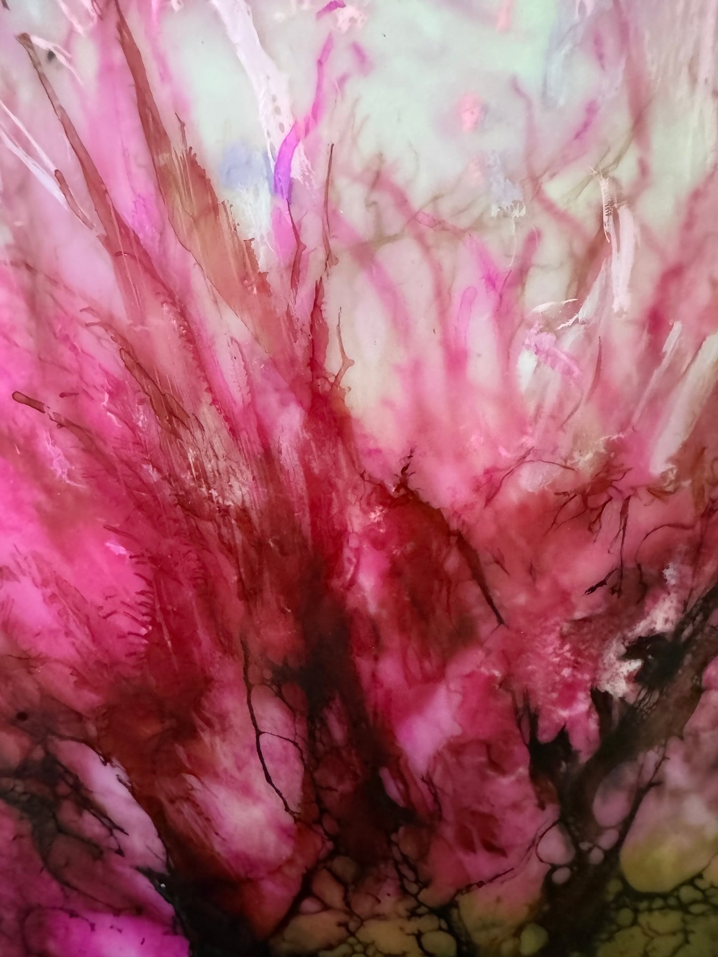 Rose Bud