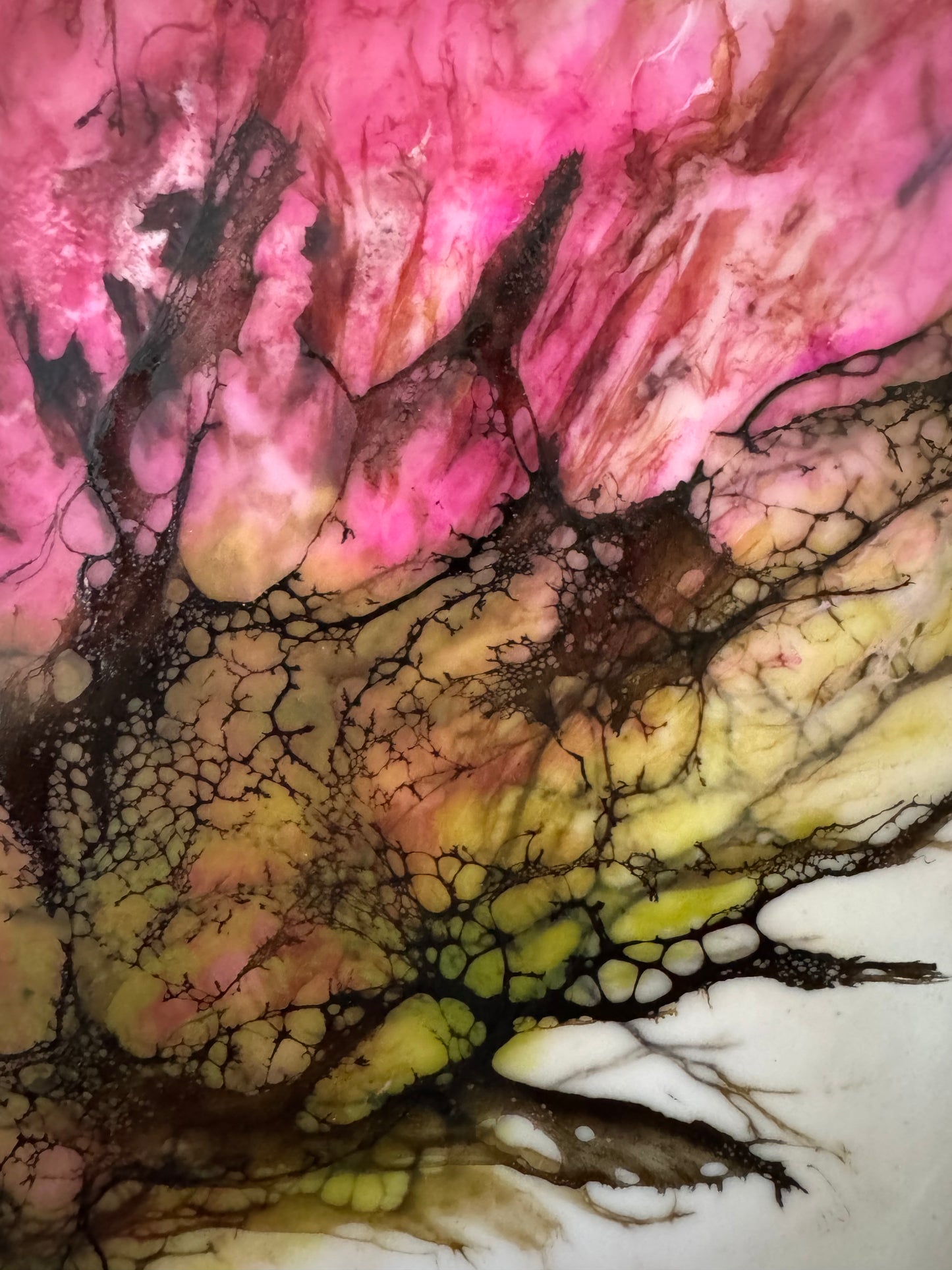 Rose Bud
