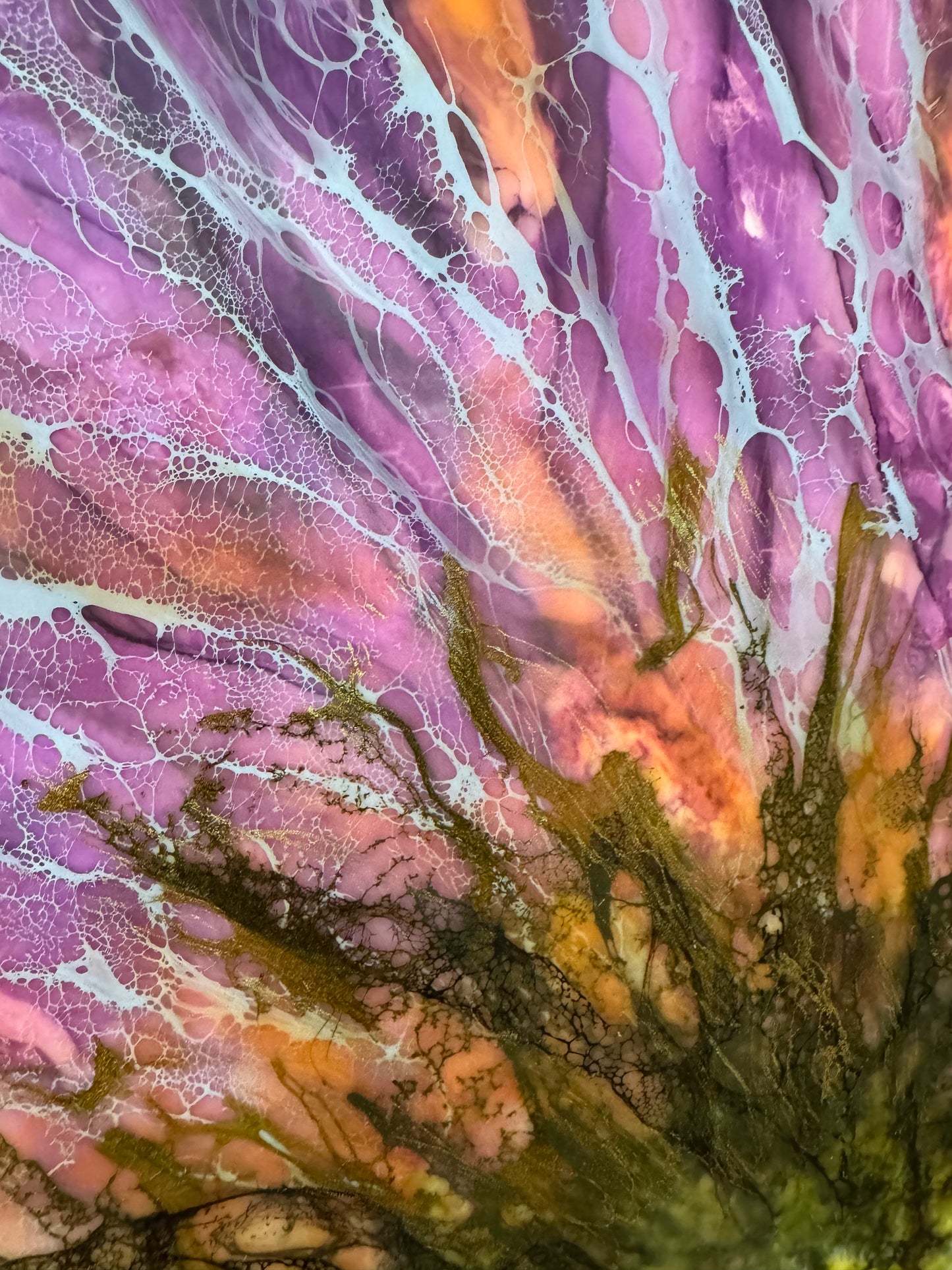 Solar Bloom