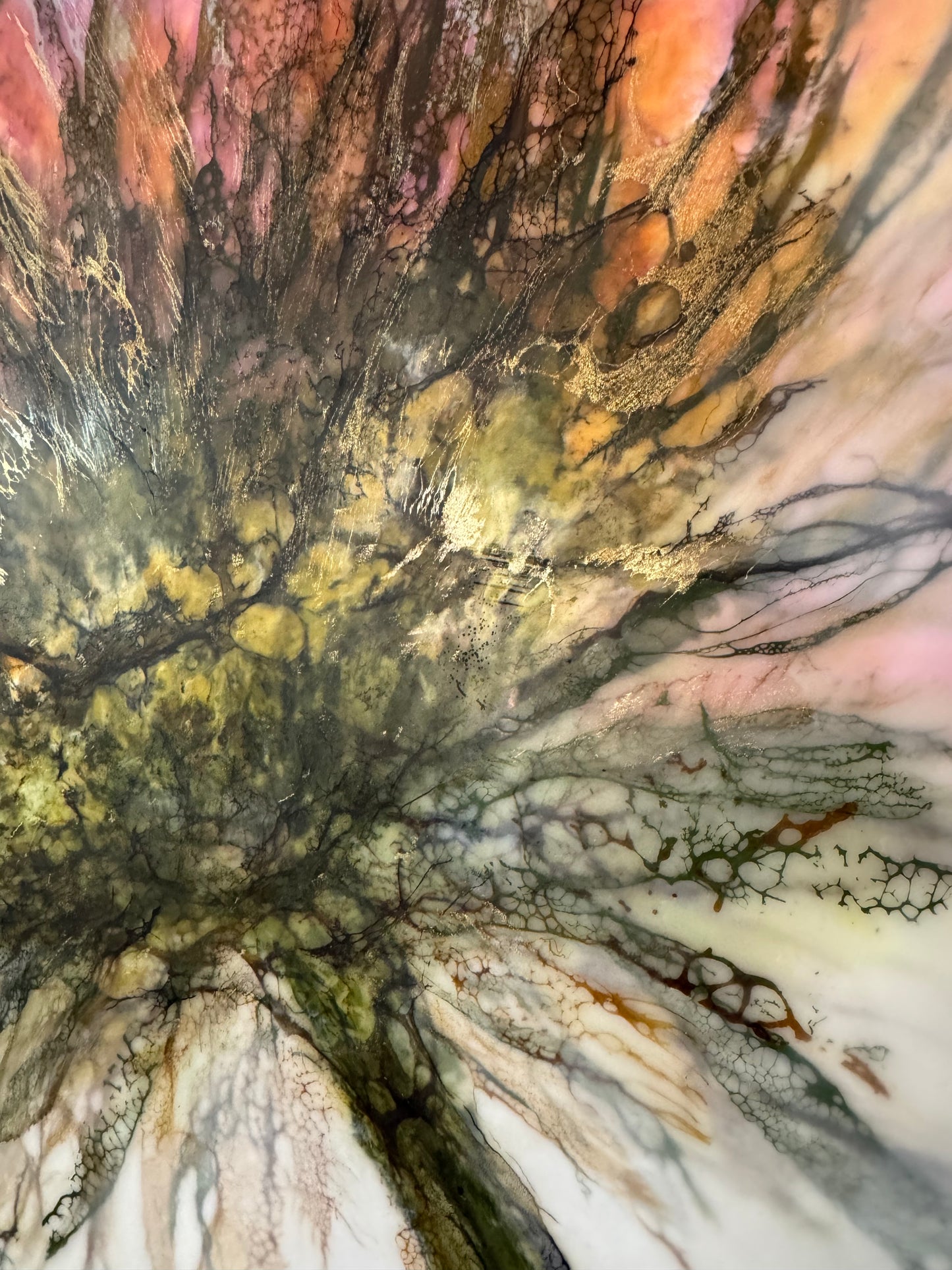 Solar Bloom