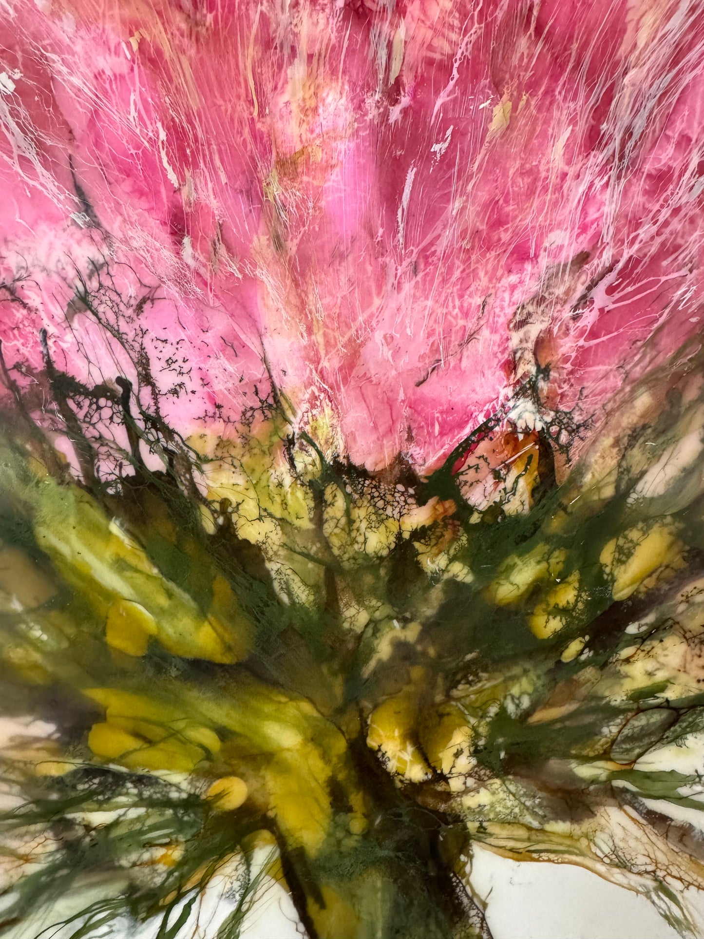 Summer Bloom