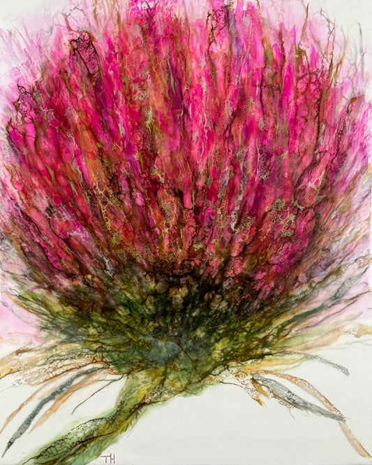 Echo's of Spring