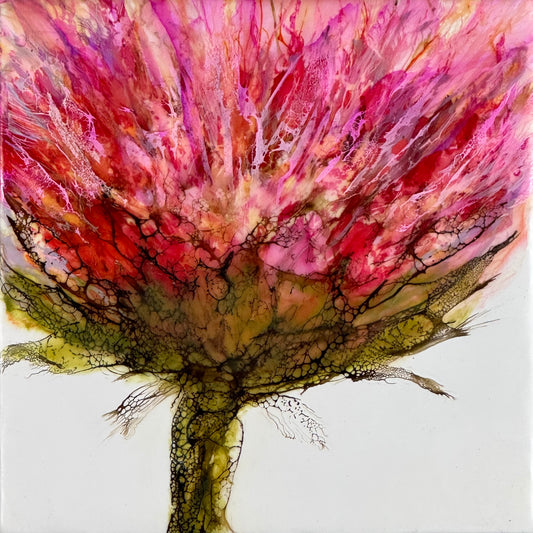 Dahlia
