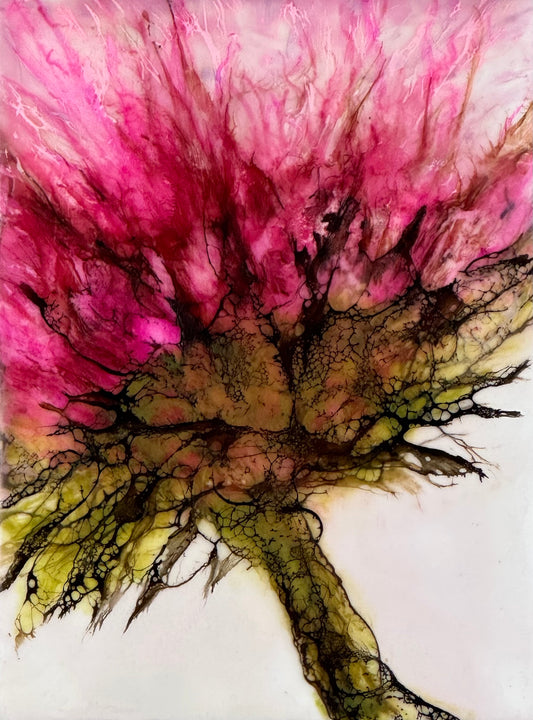 Rose Bud