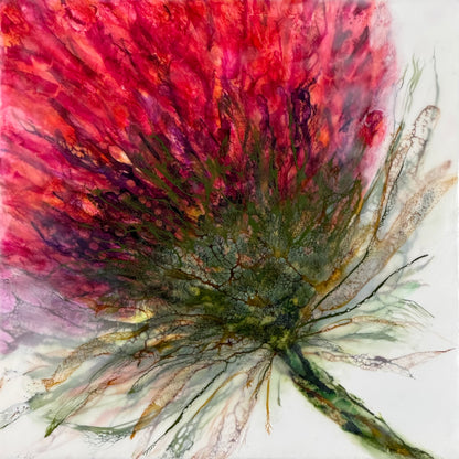 Memory in Bloom