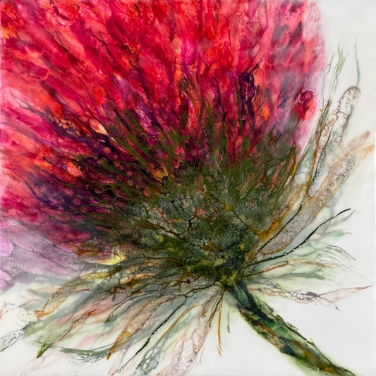 Memory in Bloom