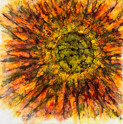 Starflower