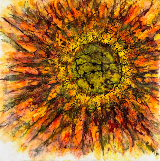 Starflower