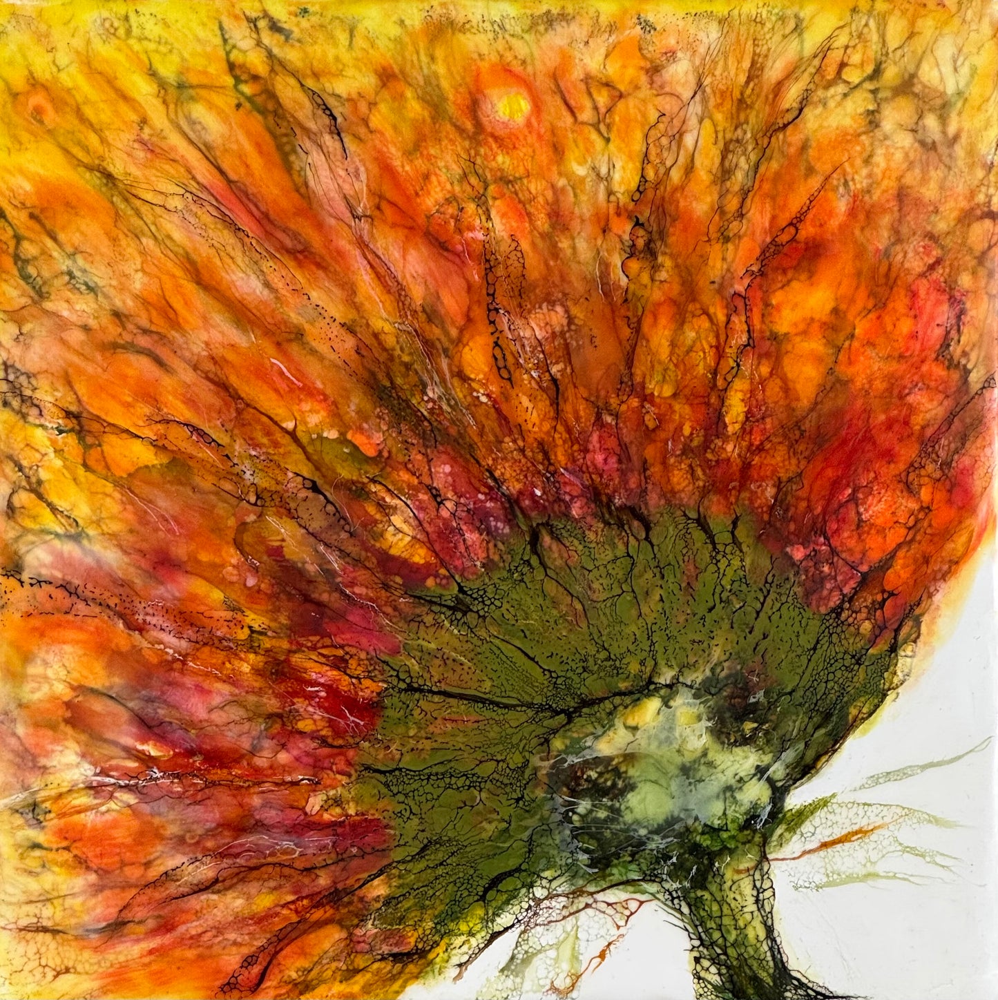 Sunfire