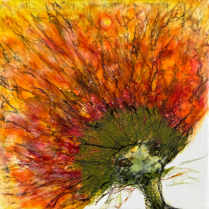 Sunfire
