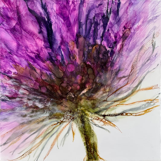 Violet Haze
