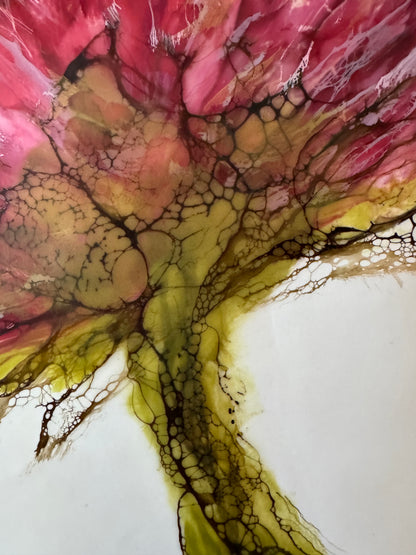 Wild Blossom
