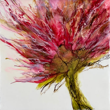 Wild Blossom