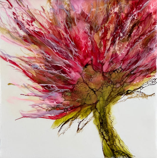 Wild Blossom