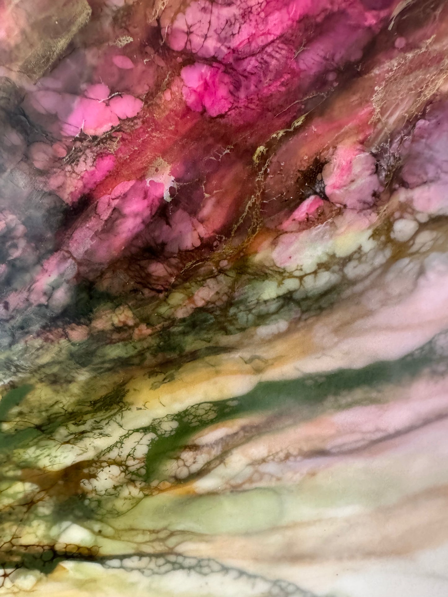 Echo's of Spring
