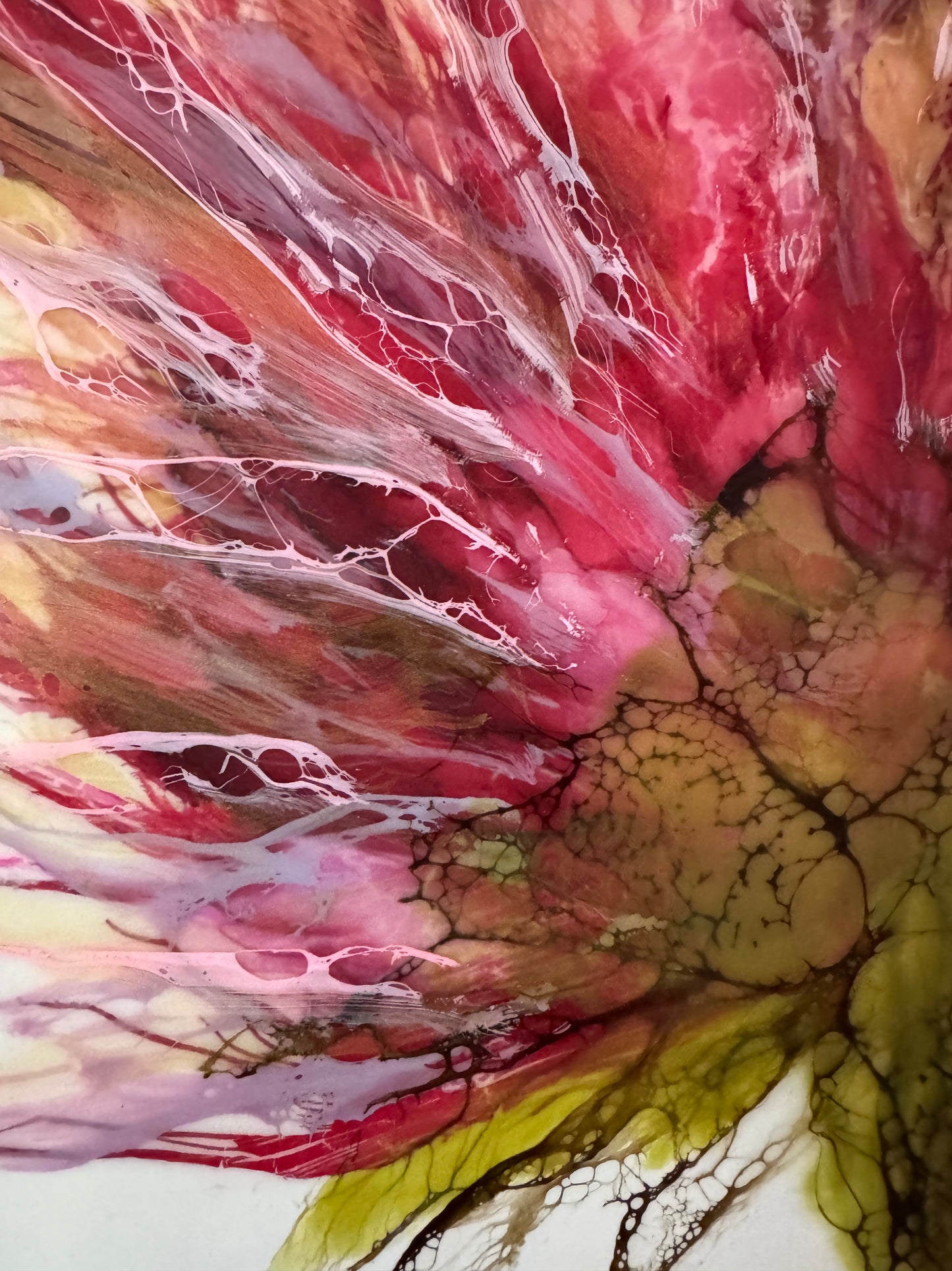 Wild Blossom