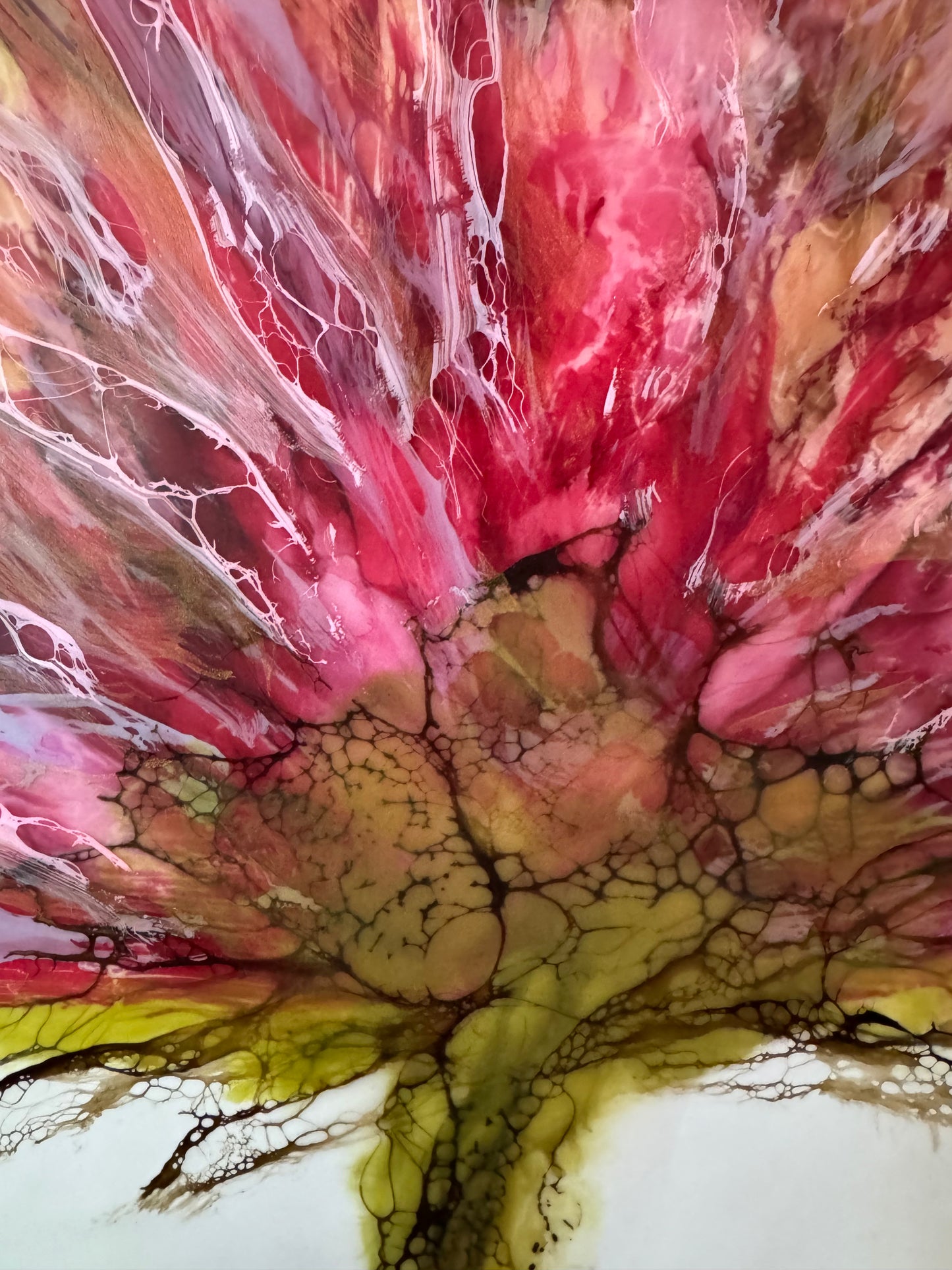 Wild Blossom